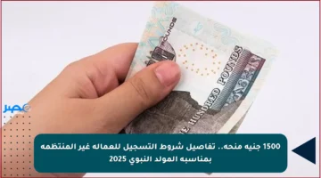 1500 جنيه منحة.. تفاصيل شروط التسجيل للعمالة غير المنتظمة بمناسبة المولد النبوي 2025